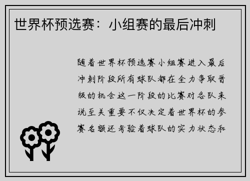 世界杯预选赛：小组赛的最后冲刺